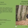 Forest Walk Guided Meditation Full cover - Kim Ryder